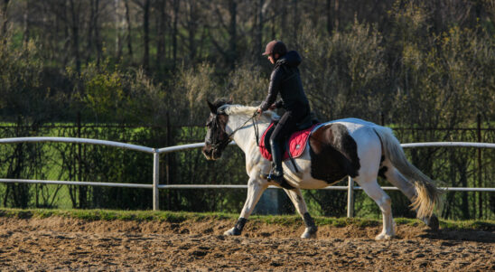 Horse tourism for everyone – Fostering inclusive & citizen-oriented horse tourism development in the South Baltic area