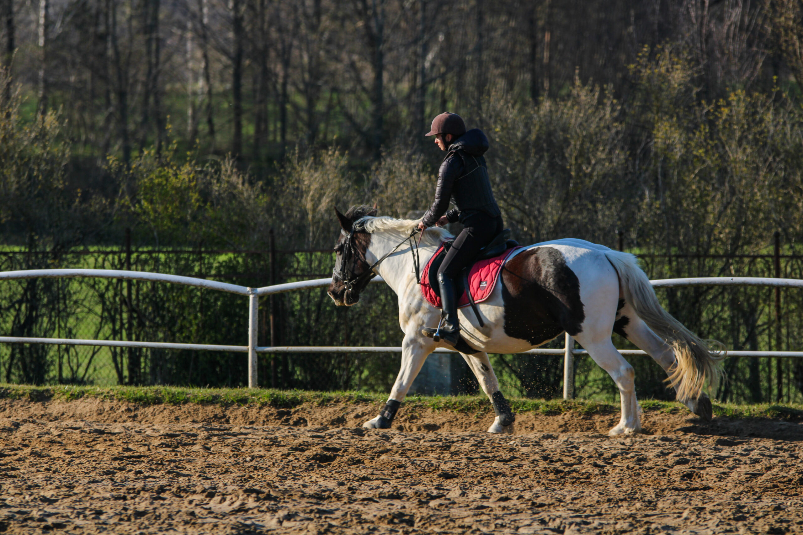 Horse tourism for everyone – Fostering inclusive & citizen-oriented horse tourism development in the South Baltic area