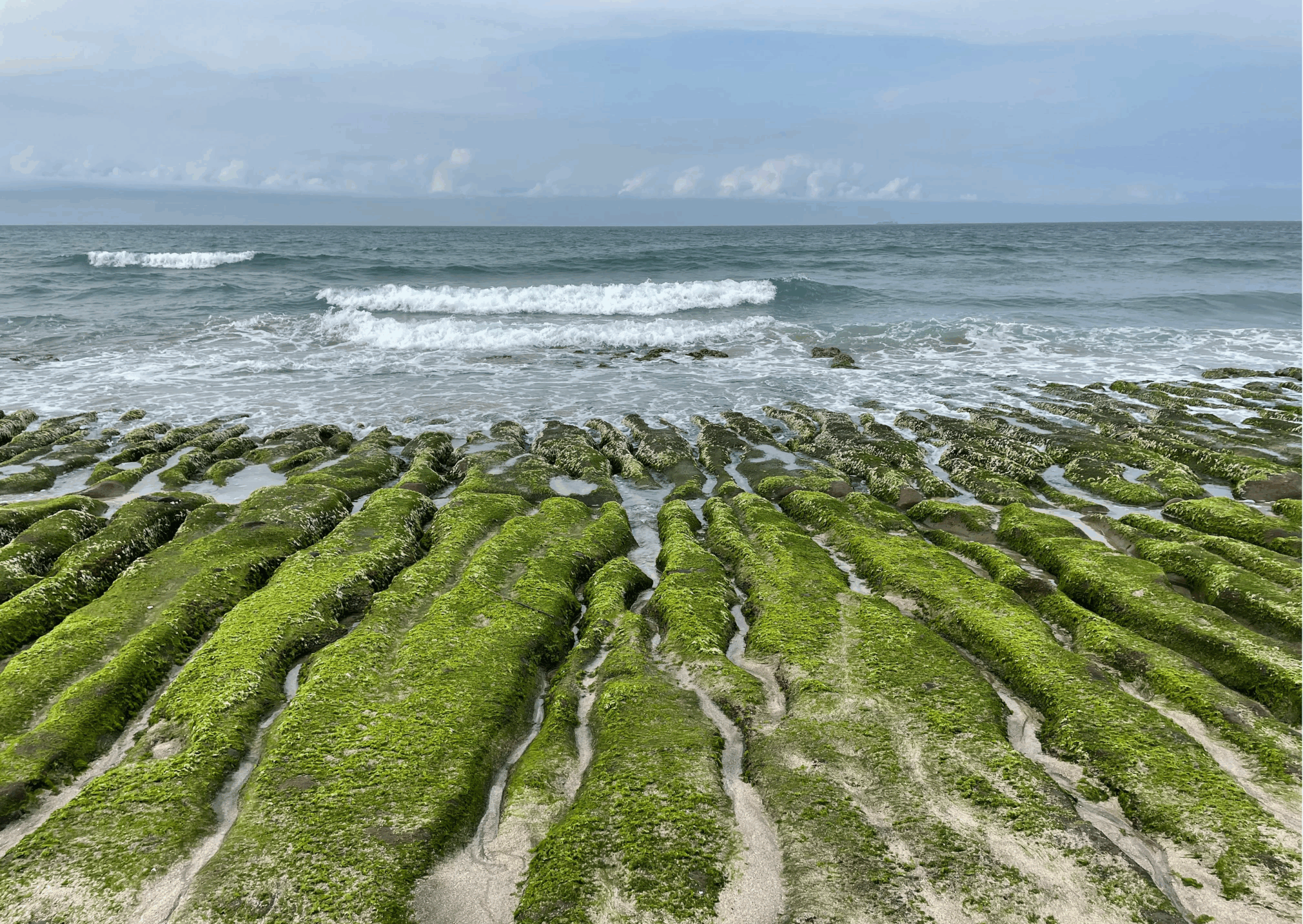 ECONUT – Eco-designing for the coastal zone nutrient’s circularity