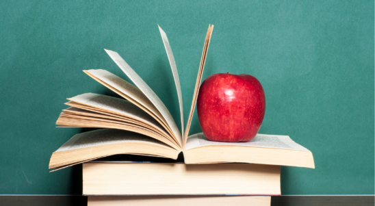 SCONE – Sustainability Cooperation Network in the South Baltic