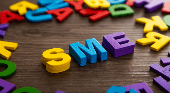 South Baltic SMEs Advancing Beyond Borders (SMEBEYOND)