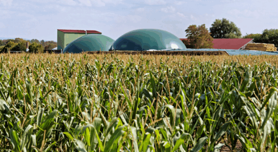 BIOSOLFarm – South Baltic farms – an essential part of renewable energy systems