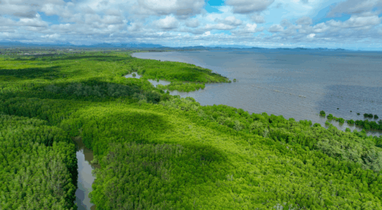 BALCA – Building Capacity for Baltic Climate Action