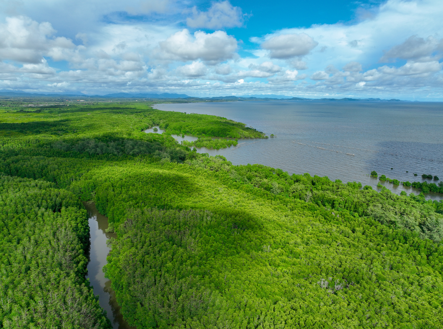 BALCA – Building Capacity for Baltic Climate Action