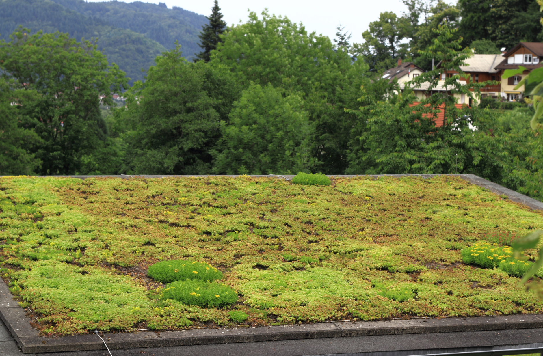 BalticGrow – Cross-border innovation for sustainable rooftop ecosystems in the South Baltic region