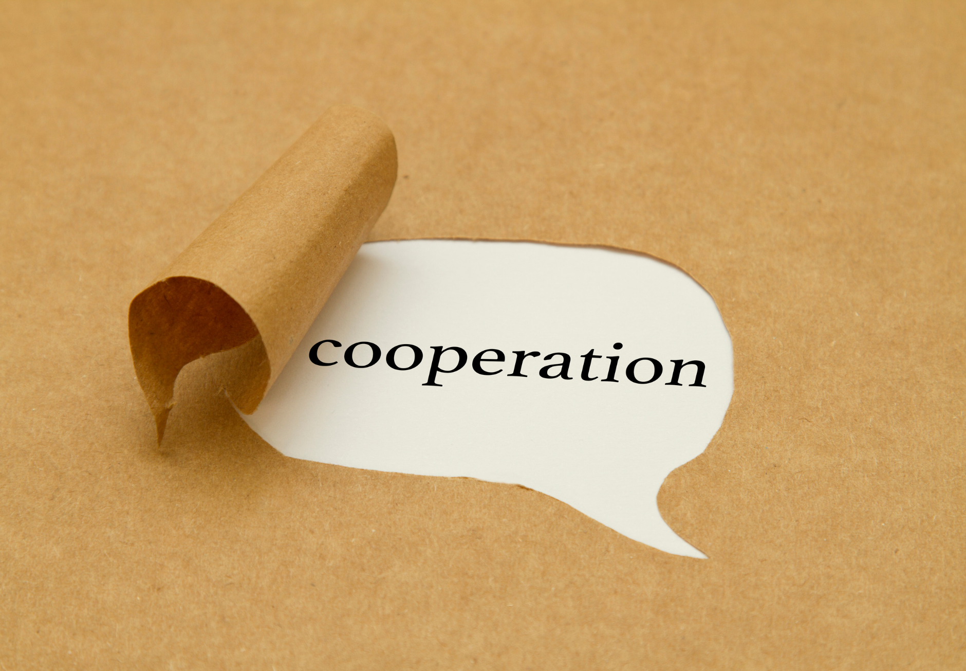 BRIDGE – Cultural and tourism education as a bridge for cross-border cooperation, networking and developing relationships with new partners
