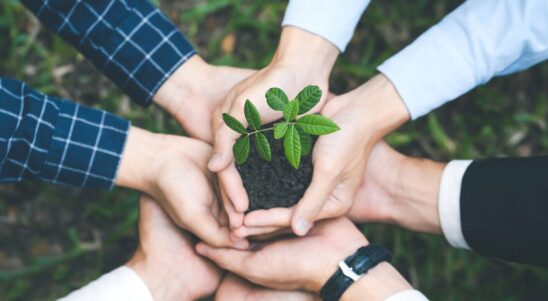 Strategic call for capitalisation in Interreg Central Europe