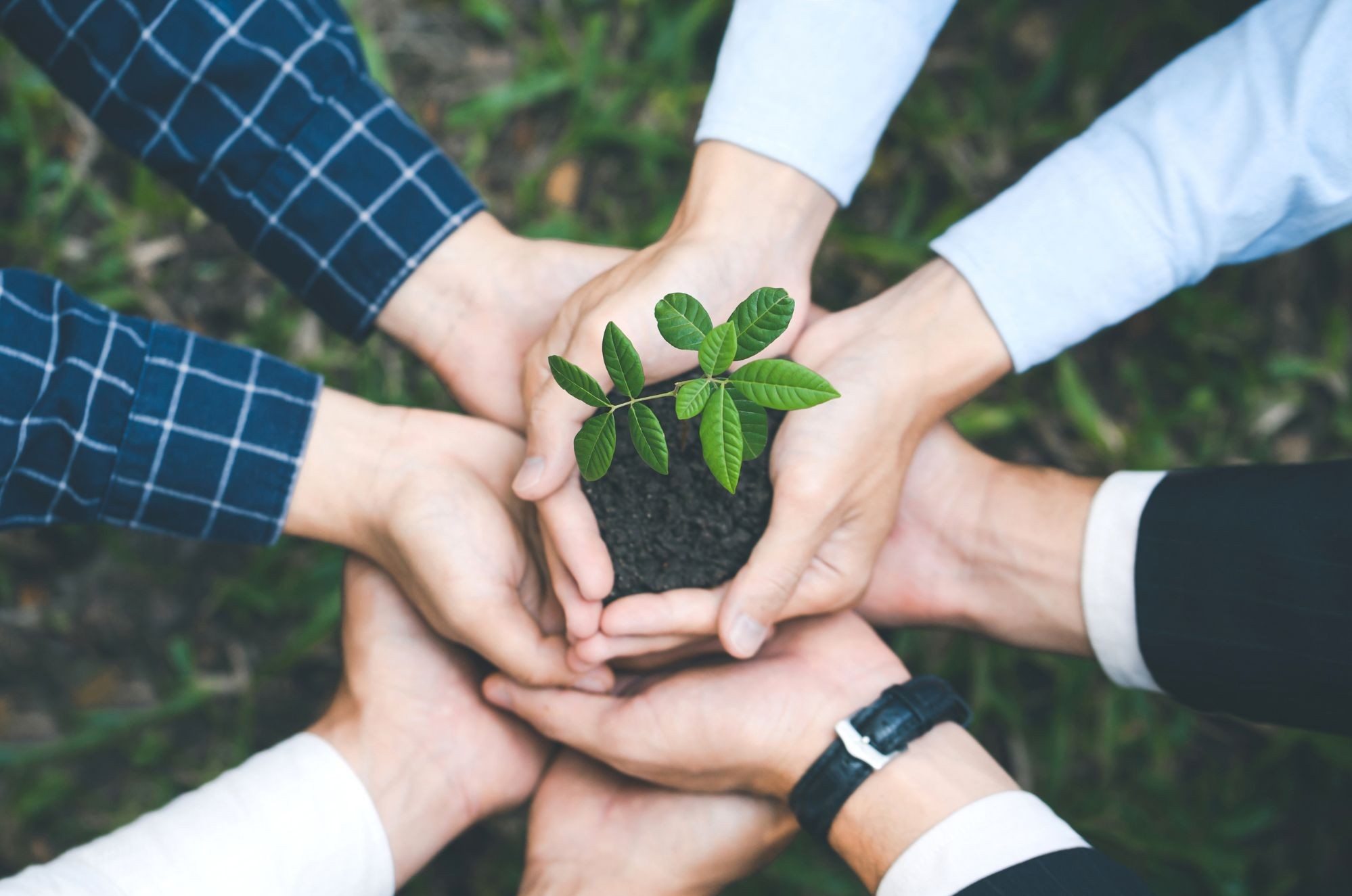 Strategic call for capitalisation in Interreg Central Europe
