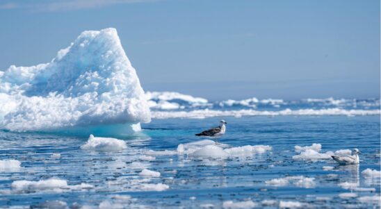 22 March – World Water Day and Baltic Sea Protection Day