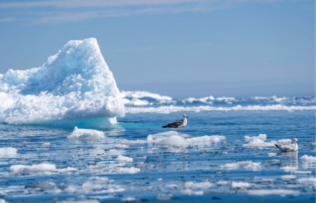  22 March – World Water Day and Baltic Sea Protection Day