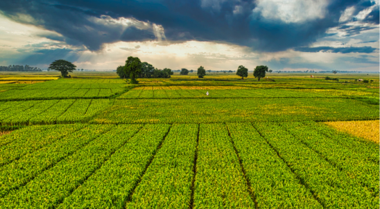 Re-Farm – Resilient Farm-based Green Energy Communities