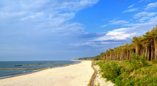 BIOCHAR4SBR – Enhancing the resilience of coastal tourism in the South Baltic area